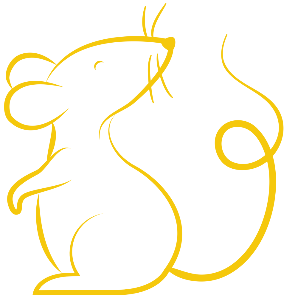 mouse